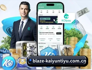 开云体育平台 APP